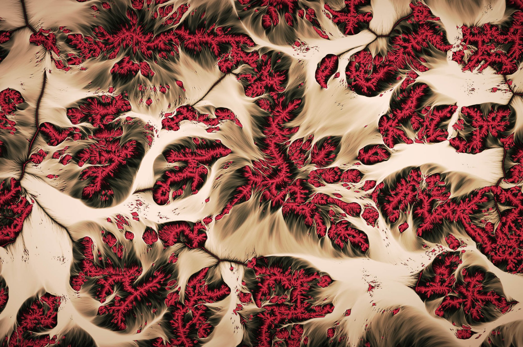 创意抽象纹理系列：极具生命力大自然奇观抽象纹理 Flow Systems, Vol. 2 [1.73GB]插图(6)