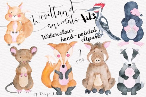 手绘水彩林地动物设计插画素材 Woodland animals Vol.3 Set