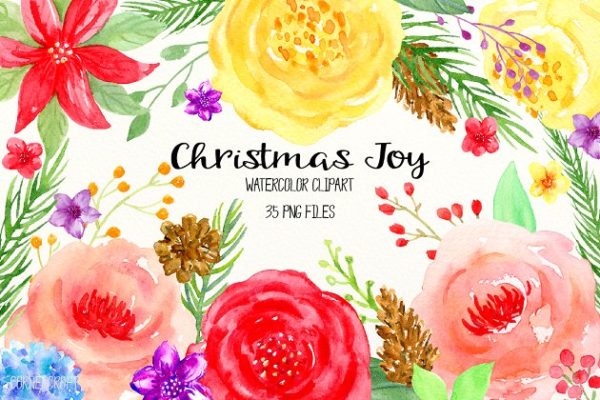 鲜亮喜庆的手绘彩色花卉松果插画 Watercolor Clipart Christmas Joy