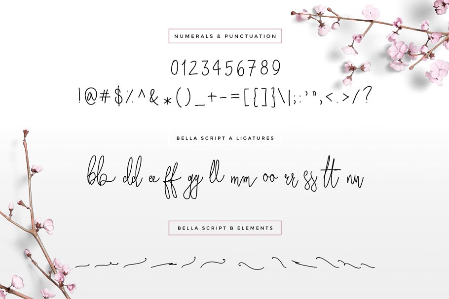 13款手写英文字体合集&Logo模板、矢量插画 Wonderland Fonts Pack & Branding Kit插图(73)