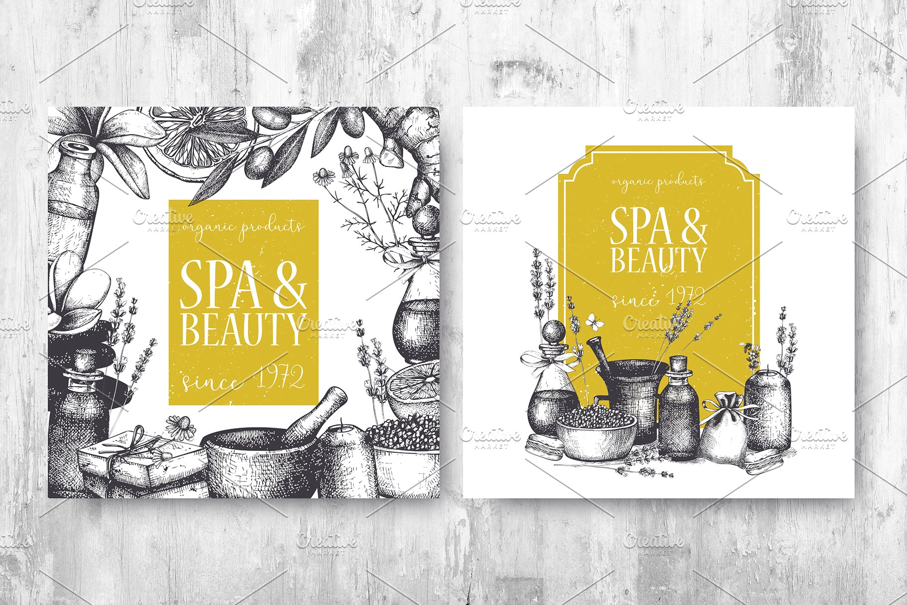 西方美容美妆设计素材 Beauty & SPA Designs Collection插图(3)