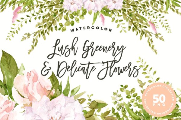 郁郁葱葱水彩花卉插画 Lush Greenery &amp; Delicate Flowers