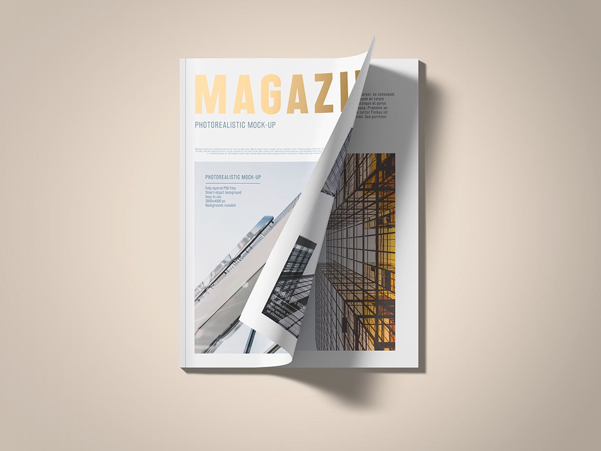 铝箔压印技术美国尺寸标准杂志设计图样机 US Letter Foil Stamping Magazine Mock-Up插图(13)