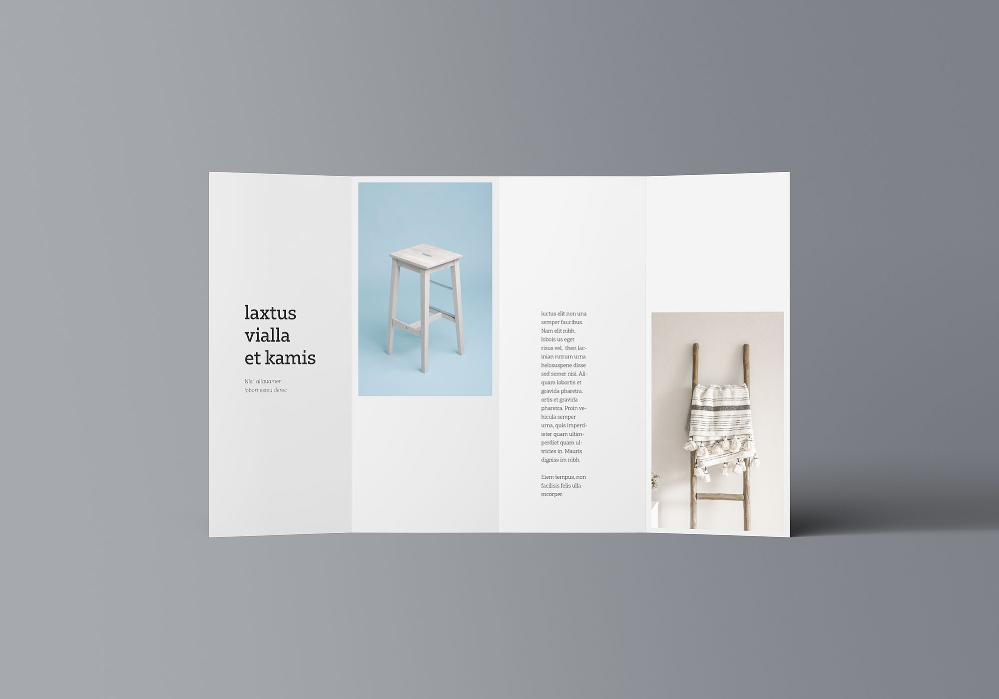 双门折叠宣传册设计效果图样机模板 Double Gatefold Brochure Mockup插图(6)