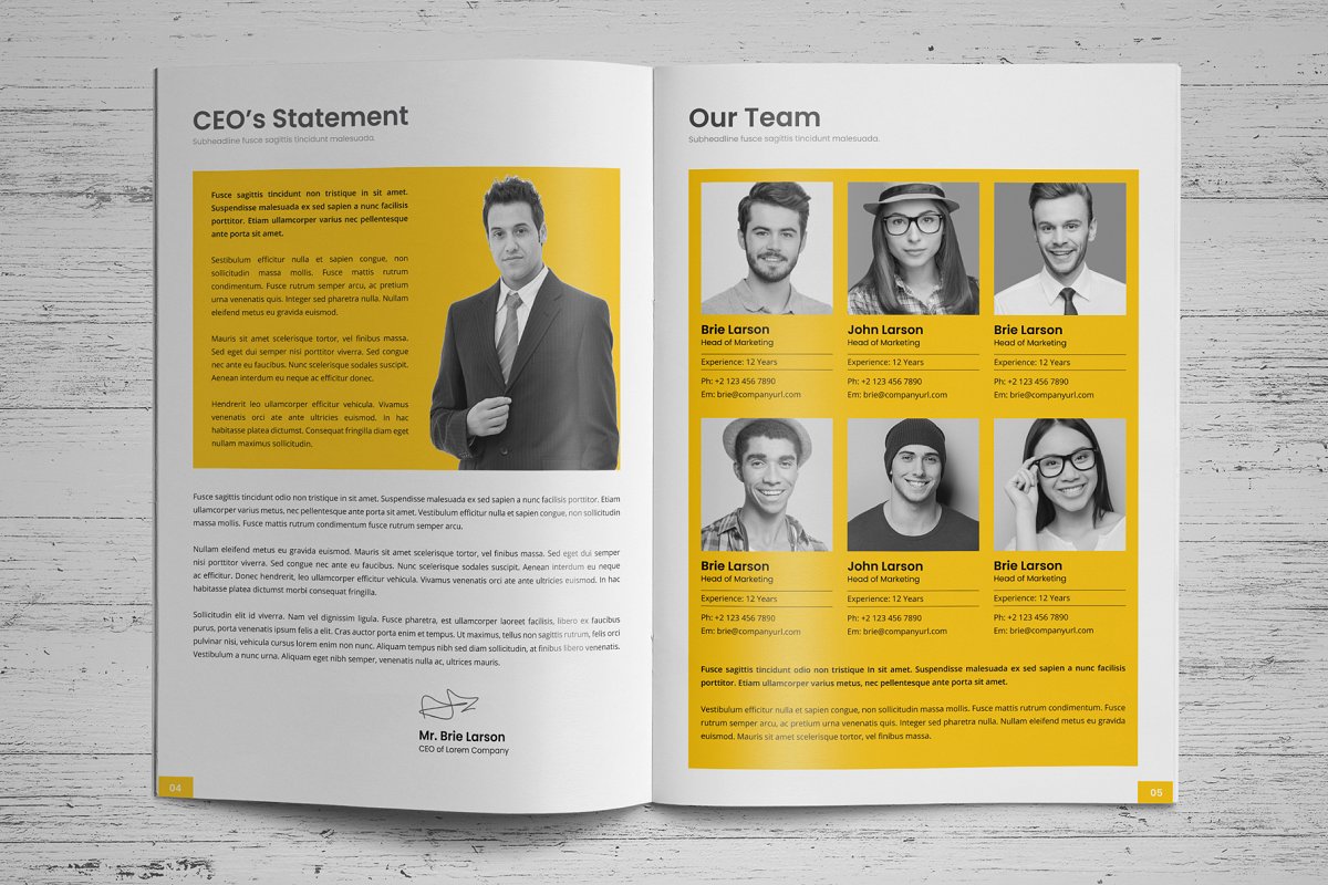 商业项目业务提案手册设计模板插图(16)