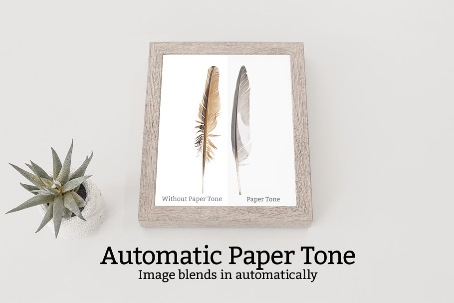 10款实木相框画框样机 10 Wooden Picture Frame Mockups插图(5)