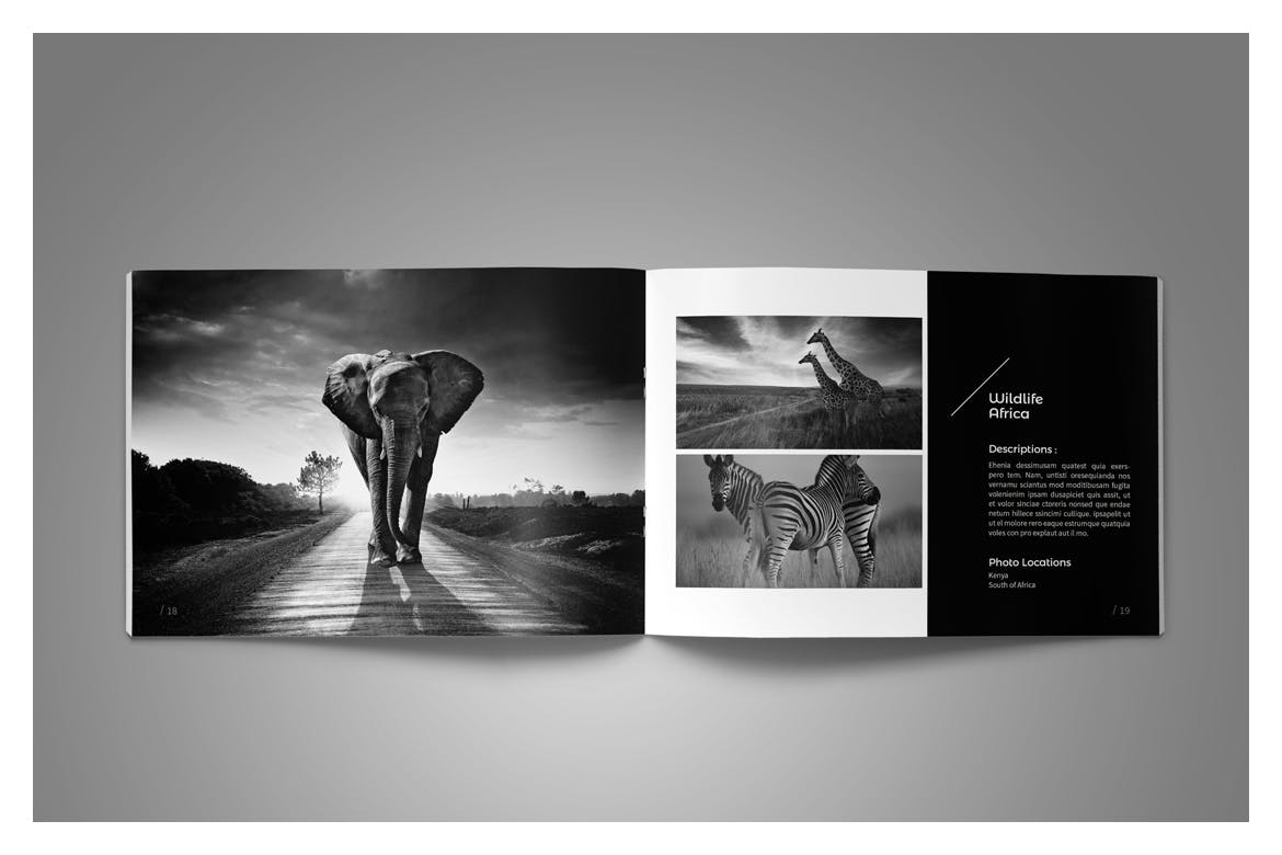 摄影师摄影作品集模板 Photography Portfolio Template插图(11)