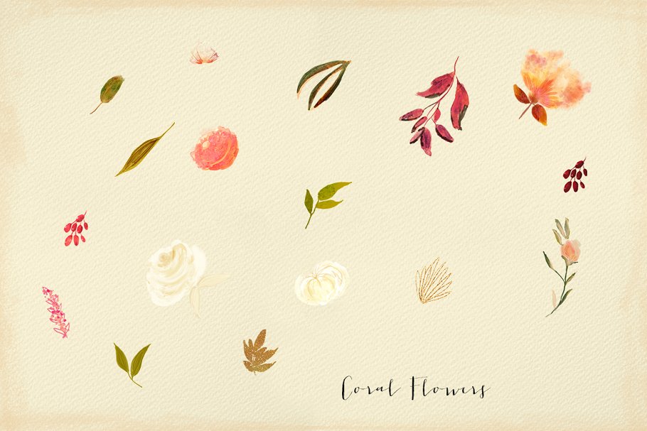 珊瑚花水彩剪贴画 Coral Flowers插图(4)