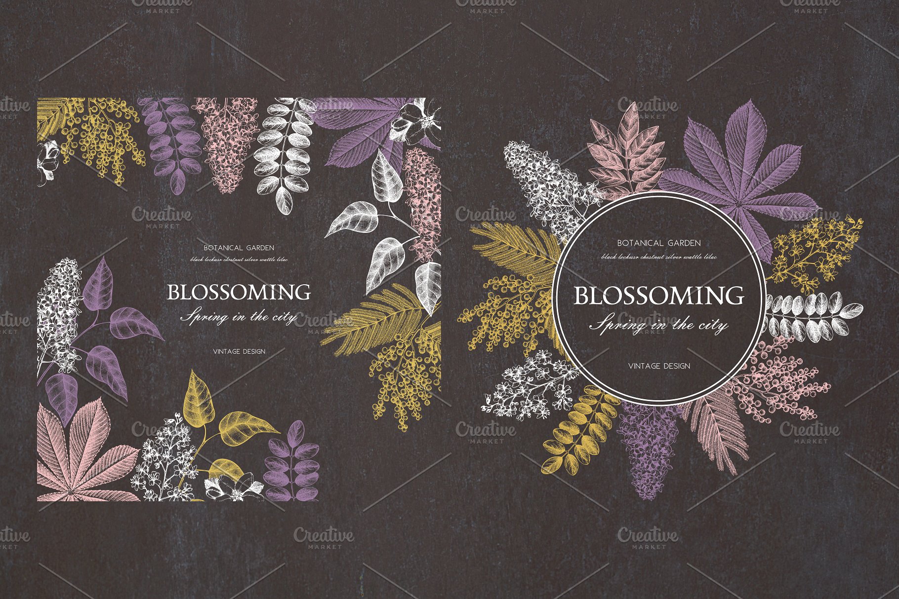 春季树木矢量插画素材 Vector Spring Trees Collection插图(3)