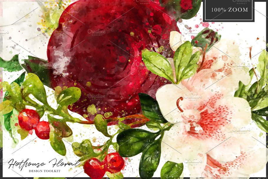 数码绘制温室花卉设计素材包(独立花卉元素&花式字母数字) Hothouse Floral Design ToolKit插图(5)