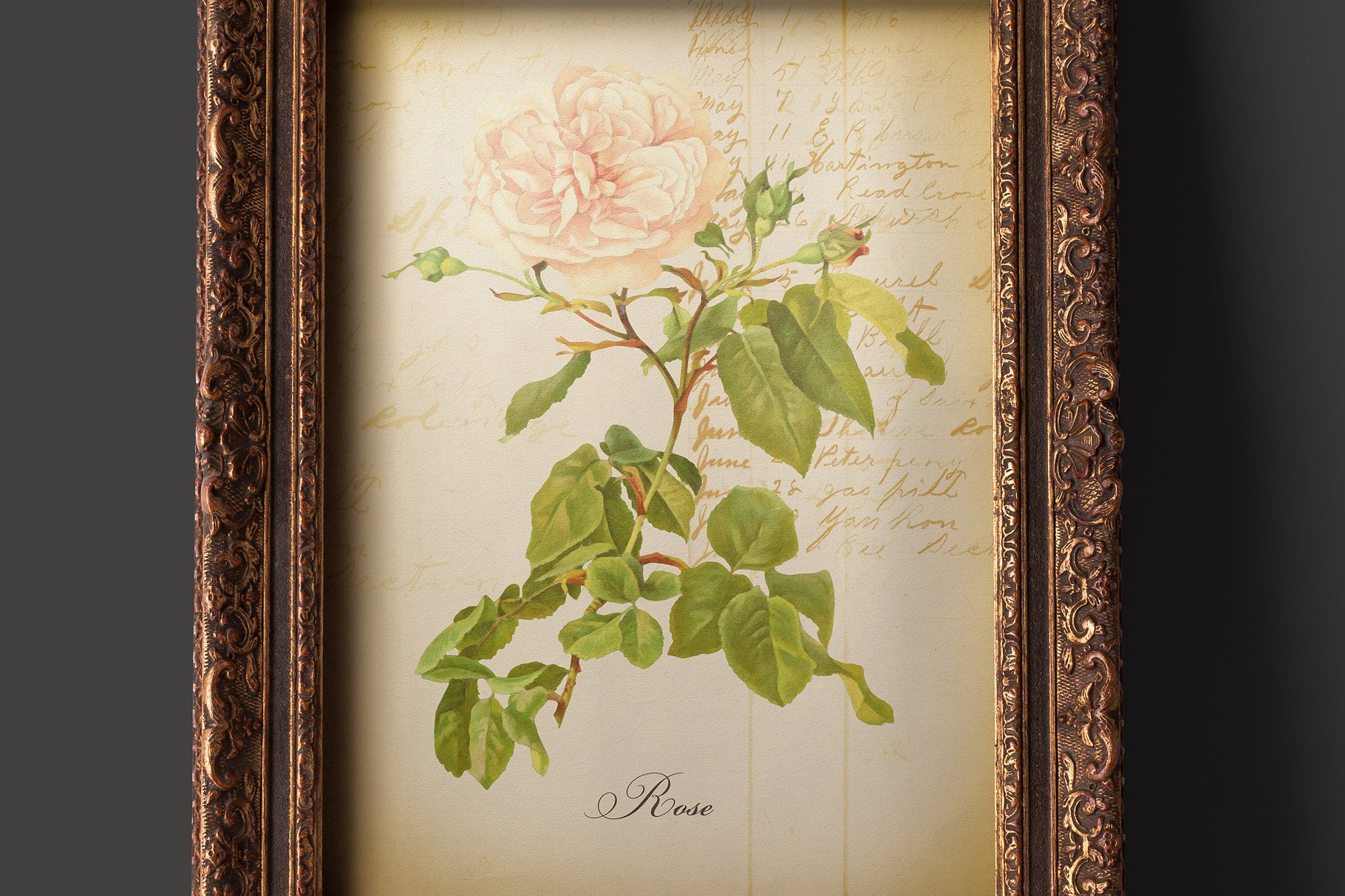 复古分类账本高清叠层&纸张 Ledger Hi-Res Overlays & Papers插图(11)