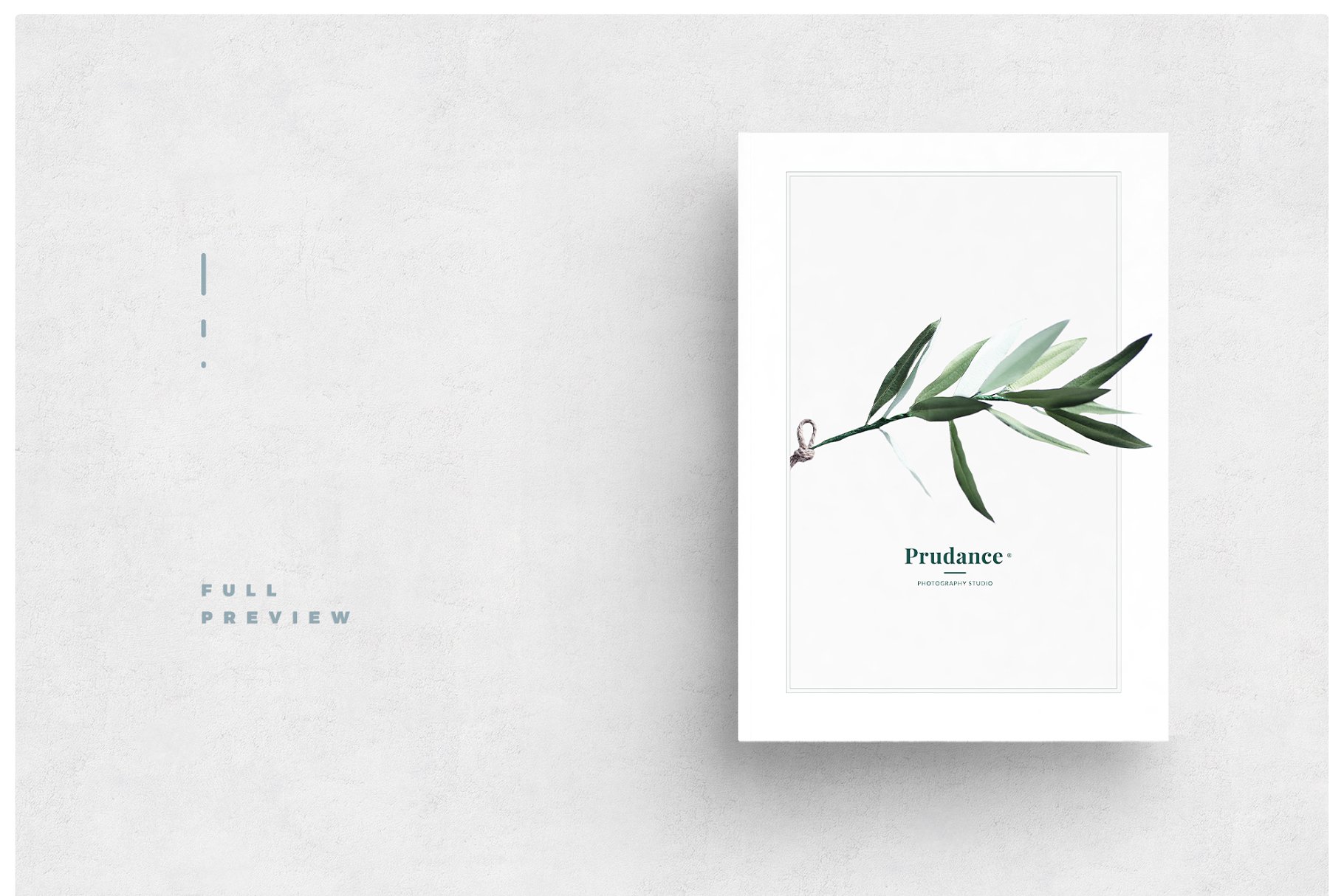 新生儿摄影育儿主题杂志模板 Newborn Photography Magazine插图(6)