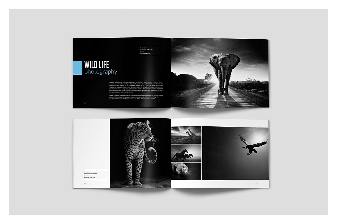 极具品味的一组摄影作品画册杂志模板插图(5)