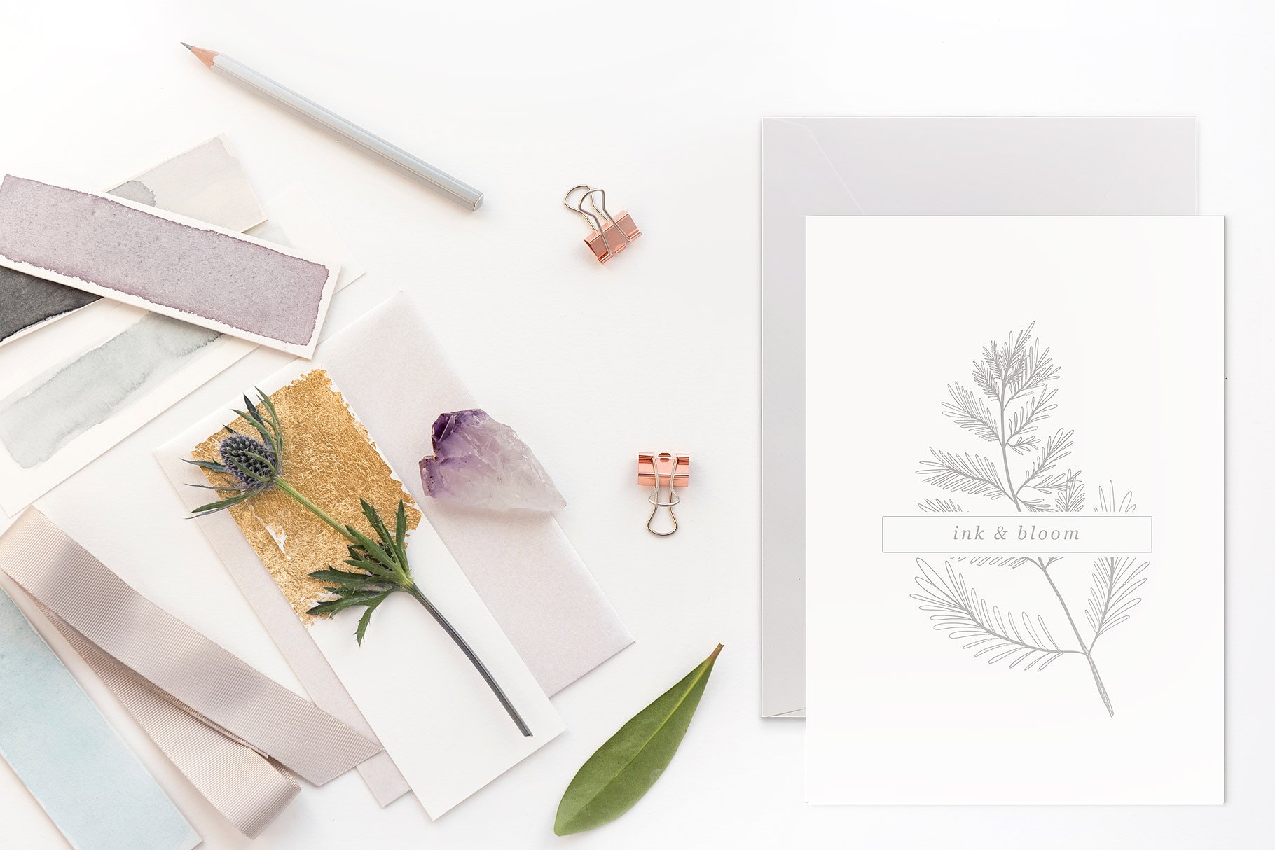 手绘有机植物矢量插图集 Botanical Garden Vector Graphics插图(8)