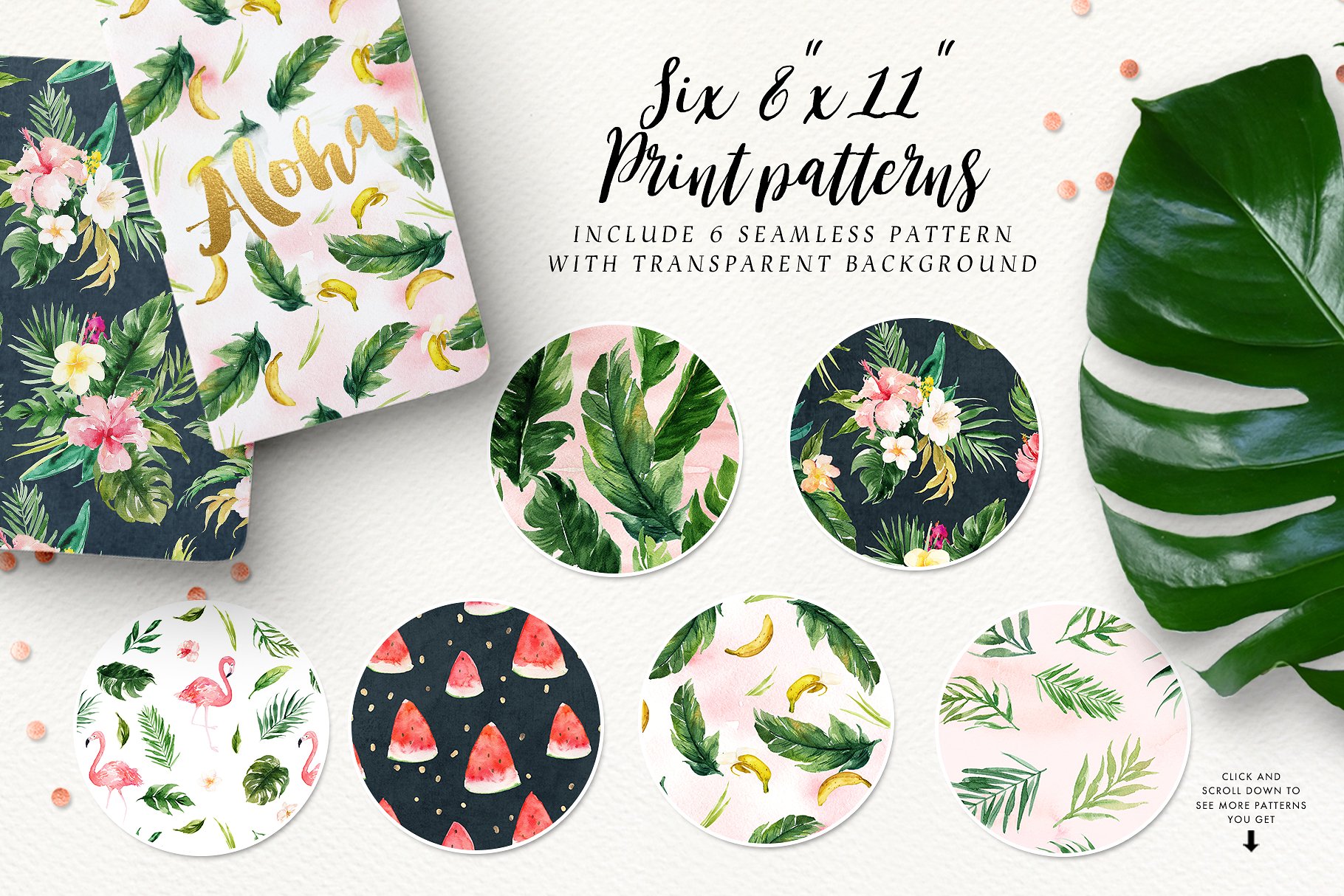 热带夏季手绘设计元素 Summer Design Set-Tropical插图(3)