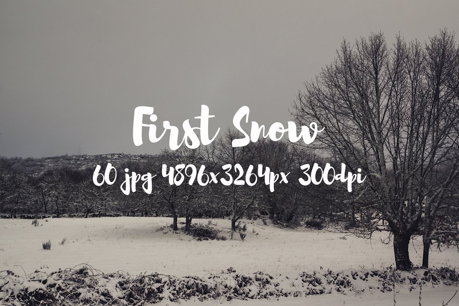 高清雪景照片合集 First Snow photo pack插图(18)