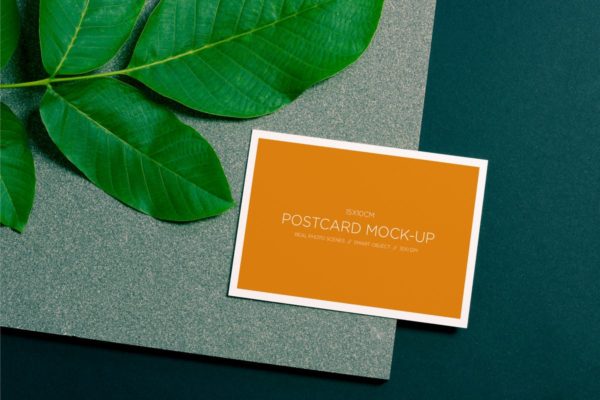 明信片/照片简约样机模板 Post Card Mock-up / Real Photo Scene