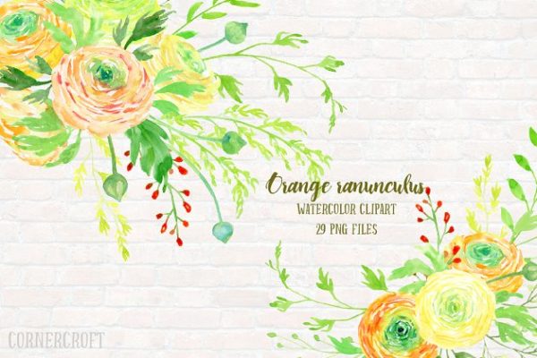 橙色水彩毛茛花卉剪贴画素材集 Watercolor Clipart Orange Ranunculus
