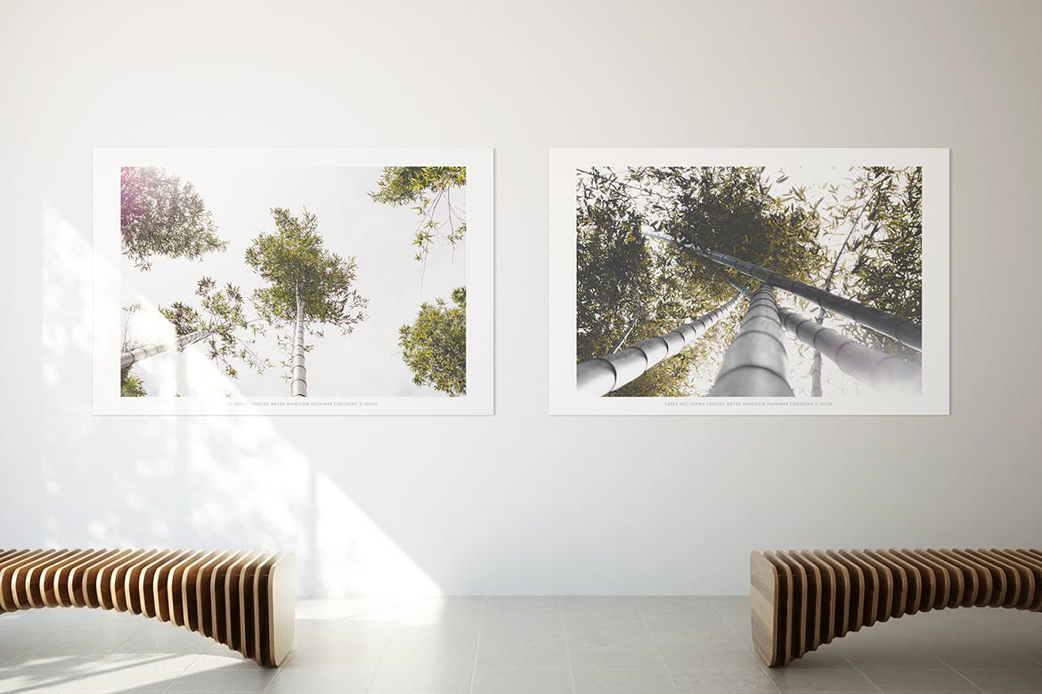 居家大厅大幅画框相框样机素材库精选模板 Poster Mockup插图(4)