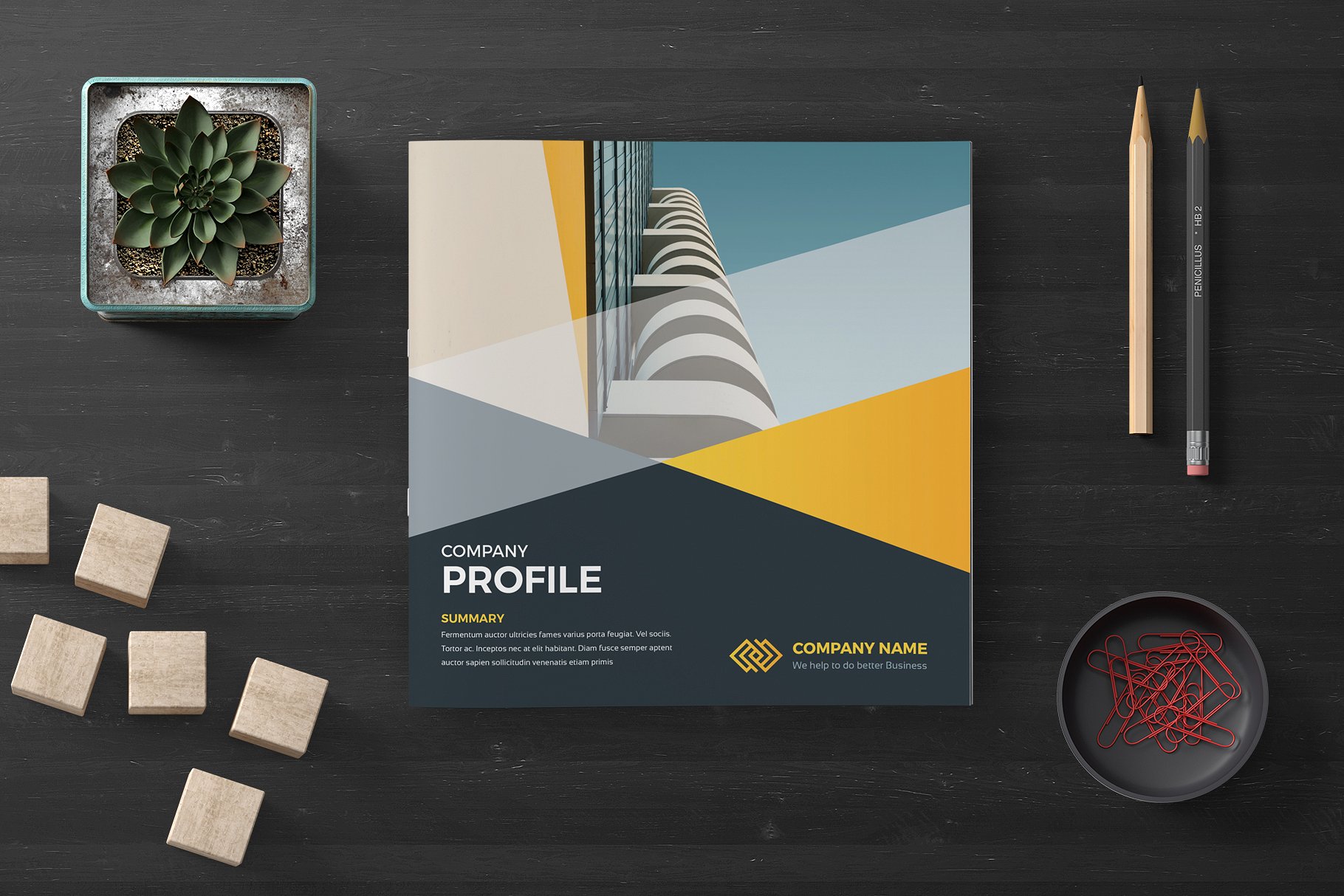 专业极简的公司简介画册模板下载 Company Profile Square [indd]插图