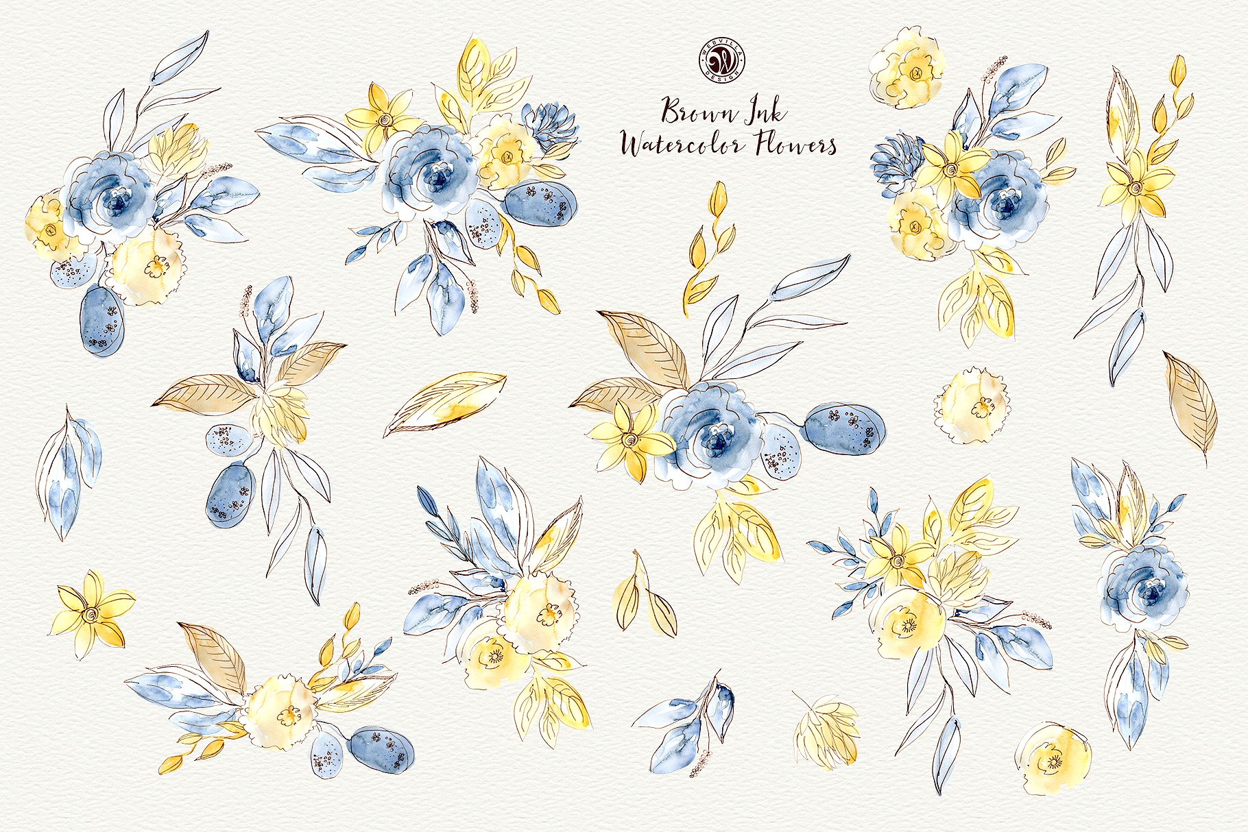 棕色油墨手绘水彩花卉元素 Brown Ink Watercolor Flowers插图(5)