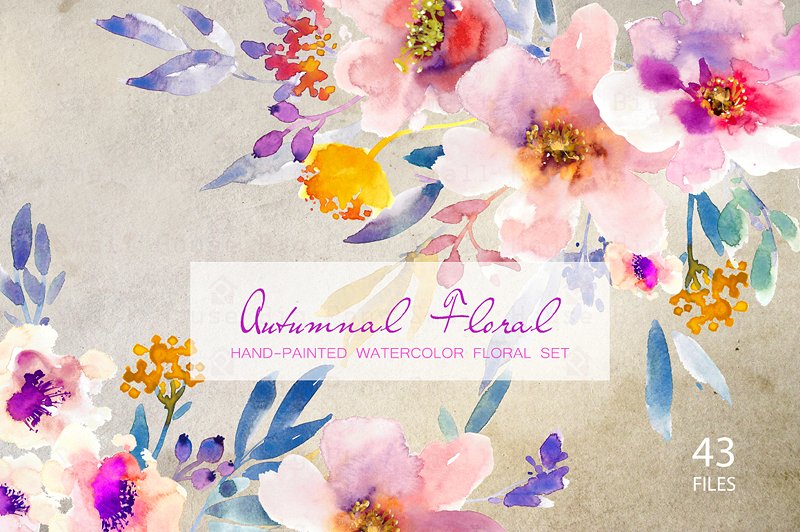 秋天花卉水彩剪贴画 Autumnal Floral- Watercolor Clipart插图