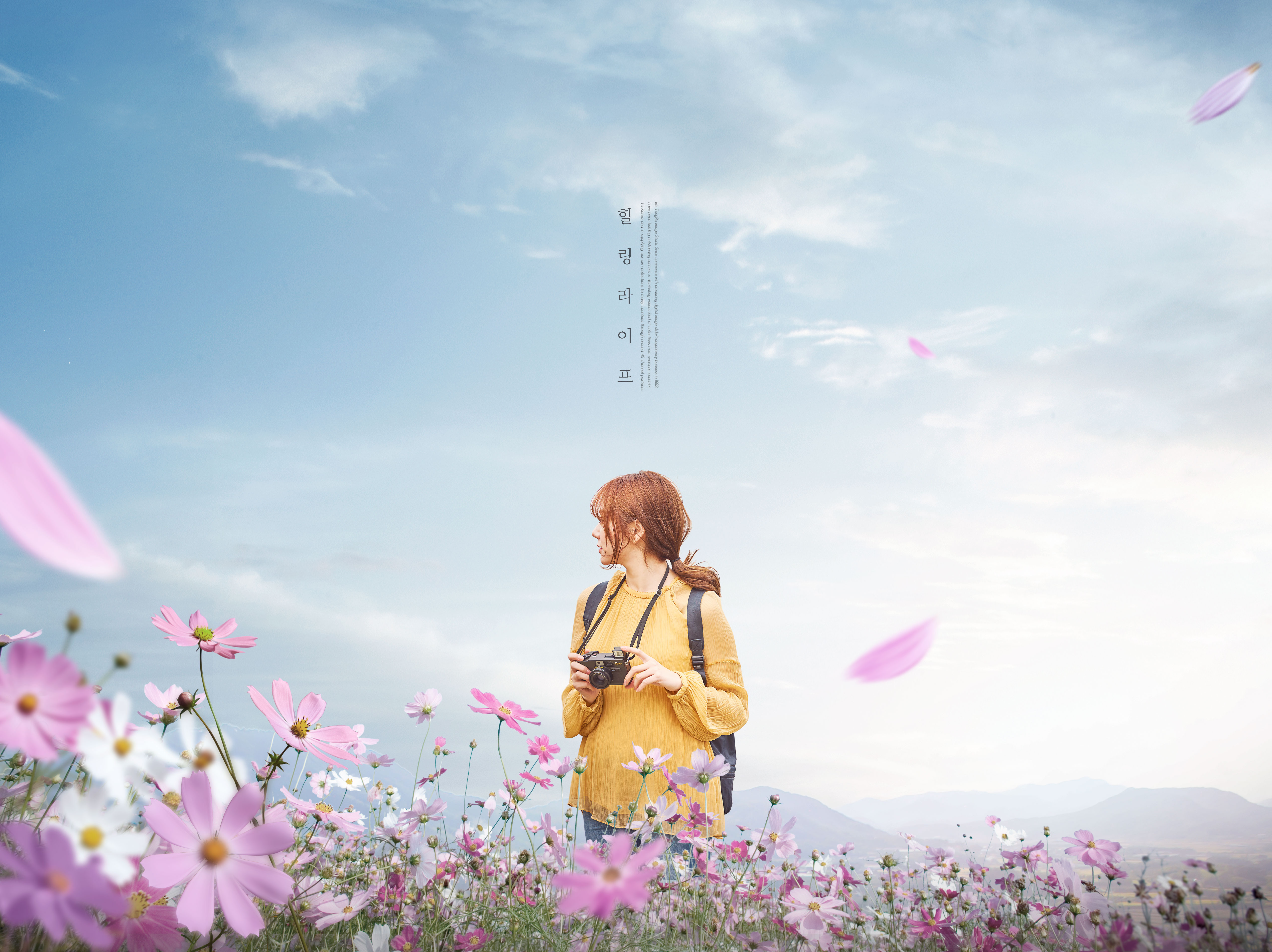 假期旅行花海美景海报图片psd素材插图