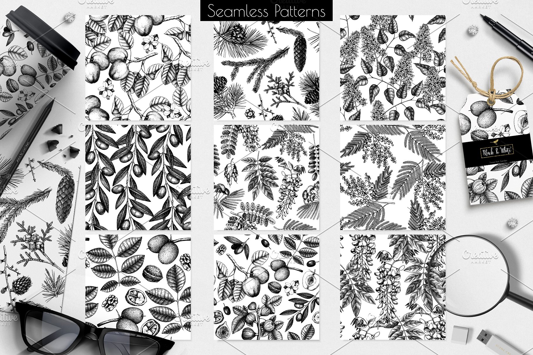 黑色矢量树木植物插画 Black Vector Trees Collection插图(8)