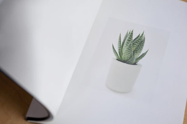 宣传册/小册子/目录设计预览样机素材库精选模板 Brochure / Booklet / Catalog Mock-Up PSD插图(6)