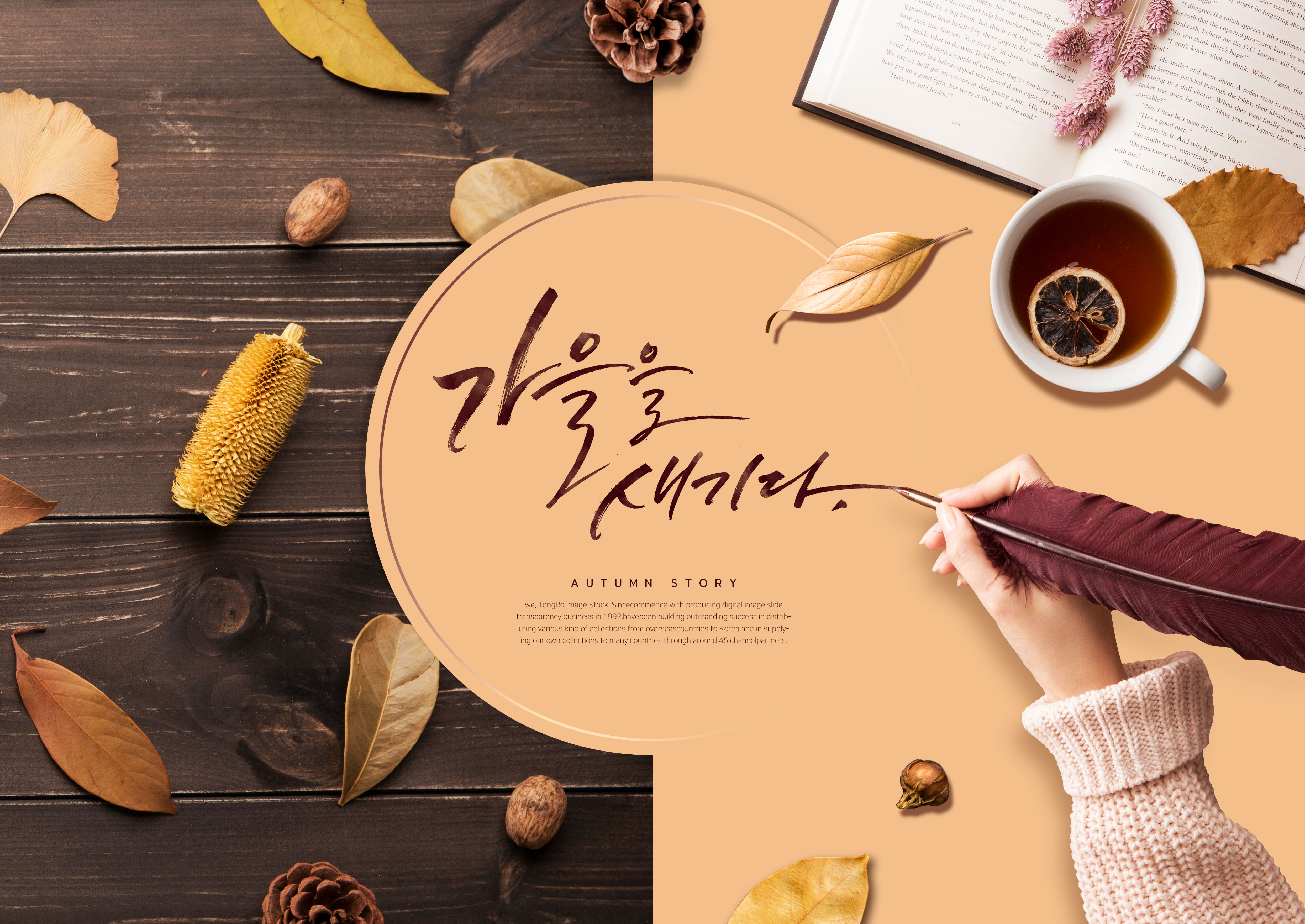 秋季落叶主题海报模板套装[PSD]插图