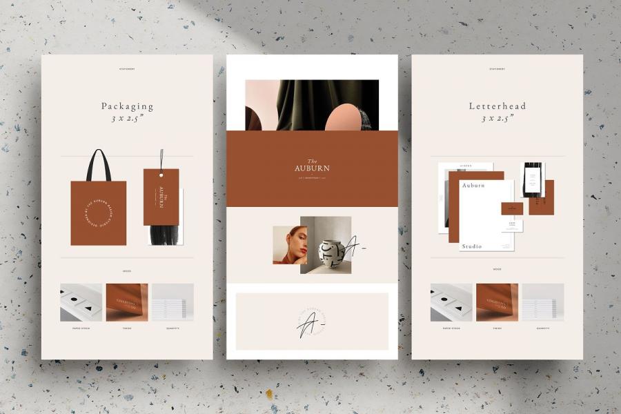 奥本高端企业品牌表单设计模板插图(5)