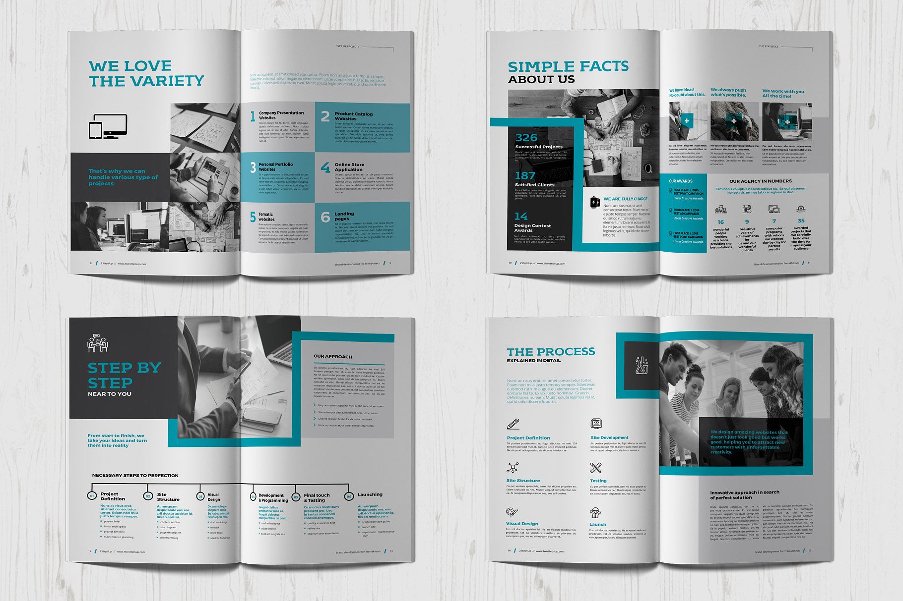 商业项目计划书手册模板 Proposal插图(4)