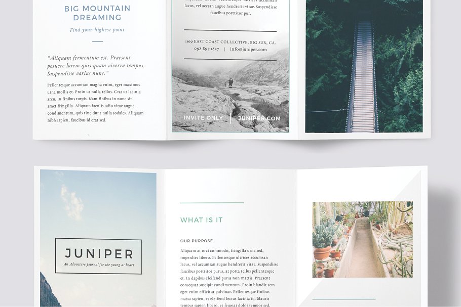 高端优雅风格折页传单设计模板 J U N I P E R  Trifold Brochure插图(5)