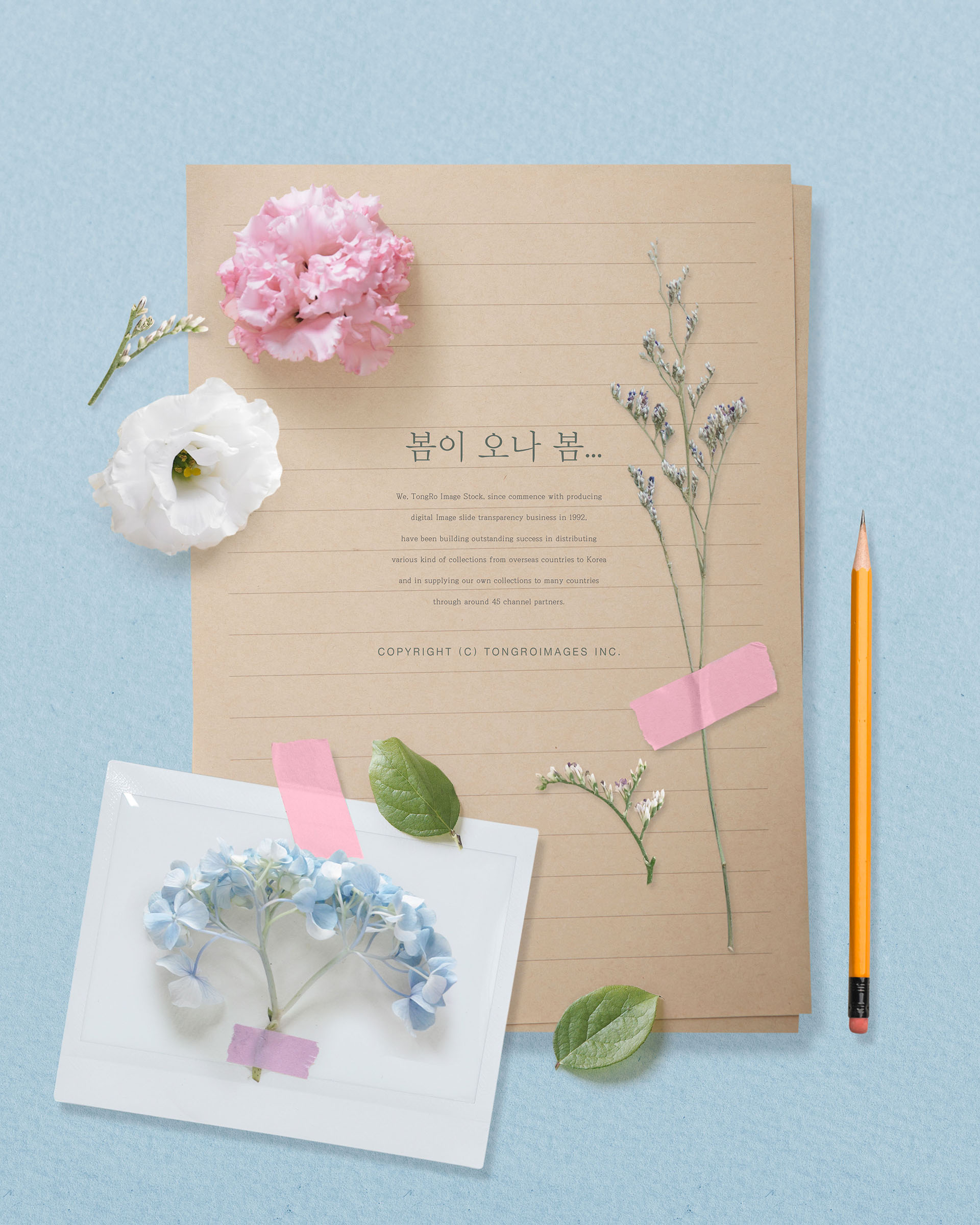 清新的春天氛围创意海报模板PSD插图(9)