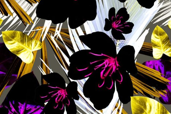 带叶花卉无缝纹理 Seamless floral patterns with leaves