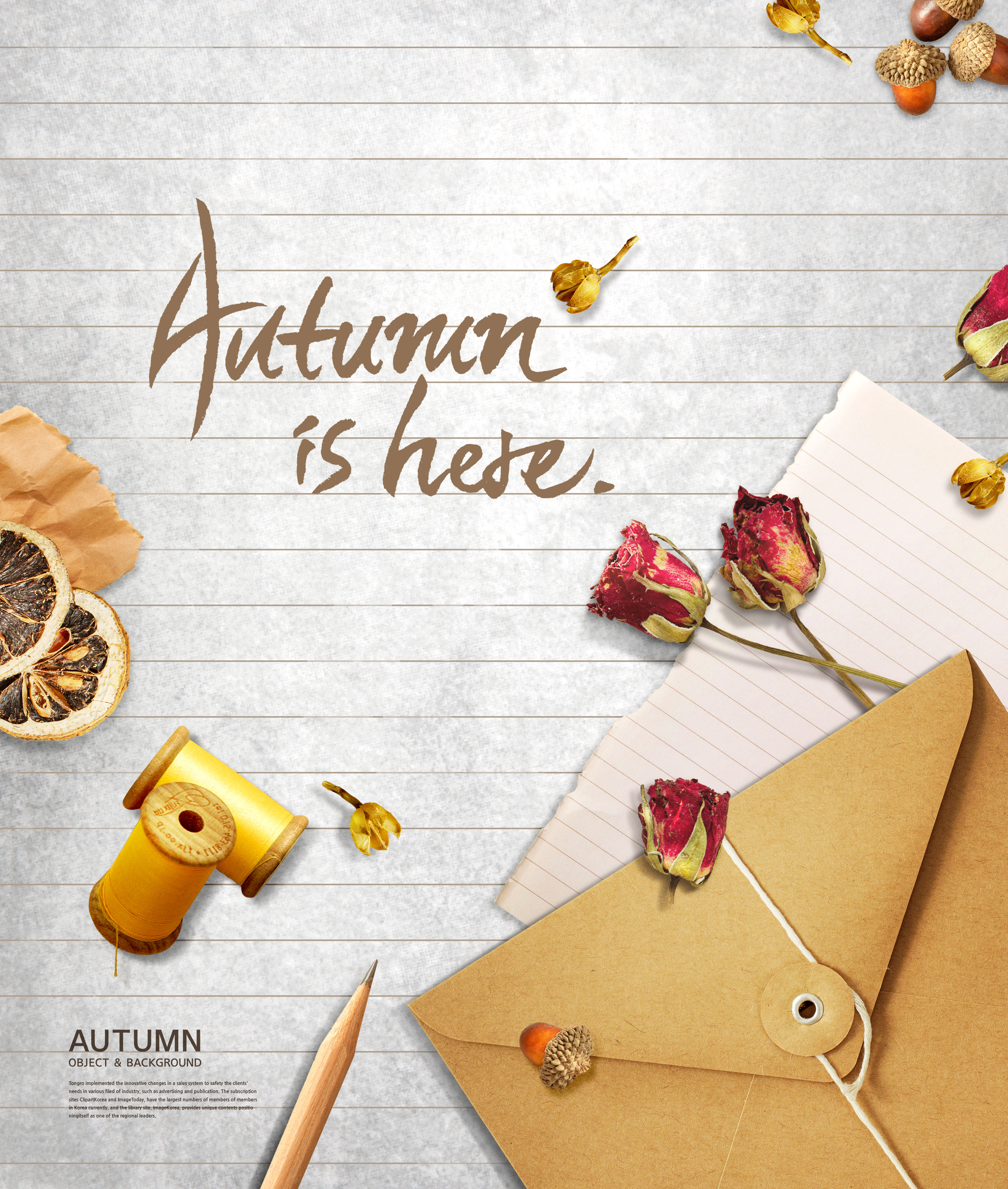 秋天主题多用途海报背景图片psd素材插图(3)