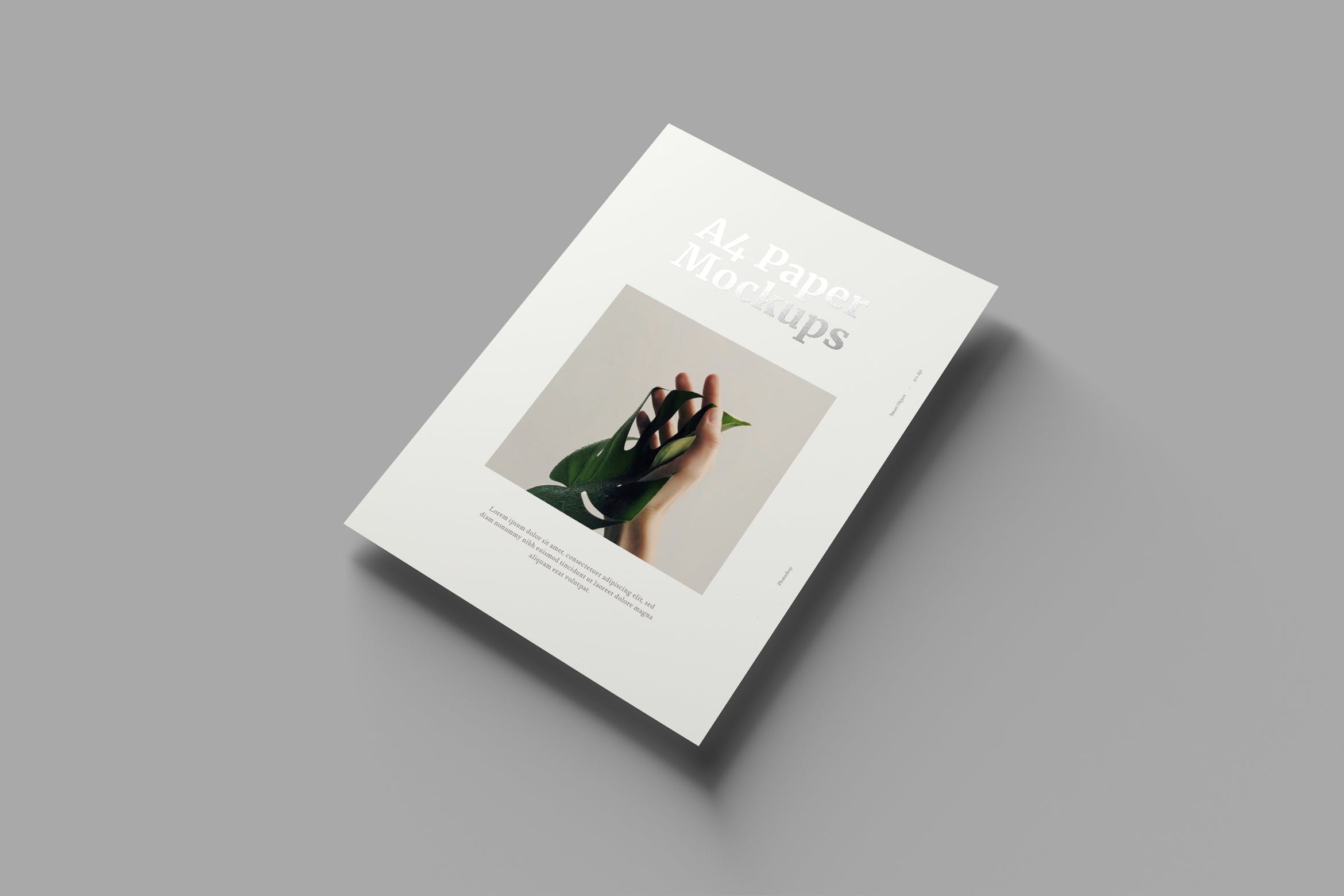 A4纸张宣传单/印刷品设计效果图样机 A4 Paper Mockups插图