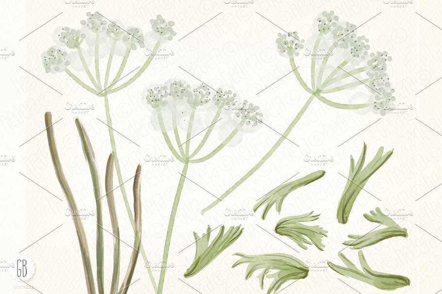 银莲花水彩剪贴画 Watercolor anemones插图(2)