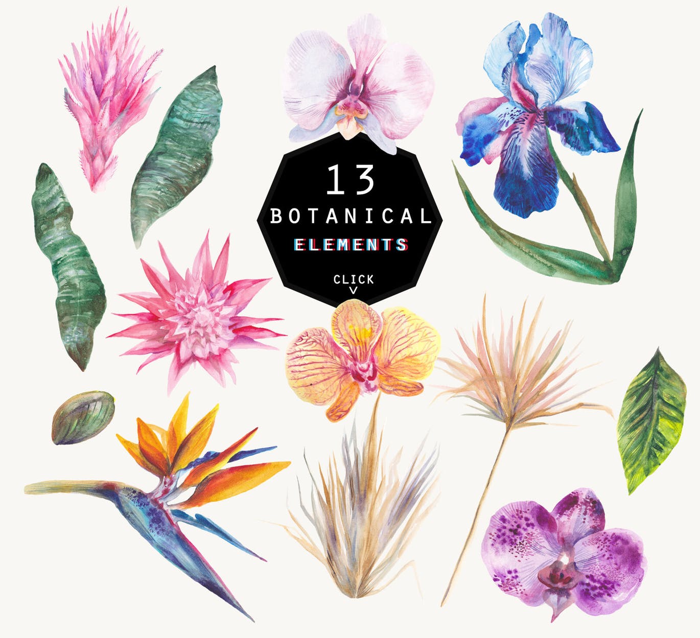 热带夏季主题水彩手绘图案套装 Tropical summer watercolor set插图(1)