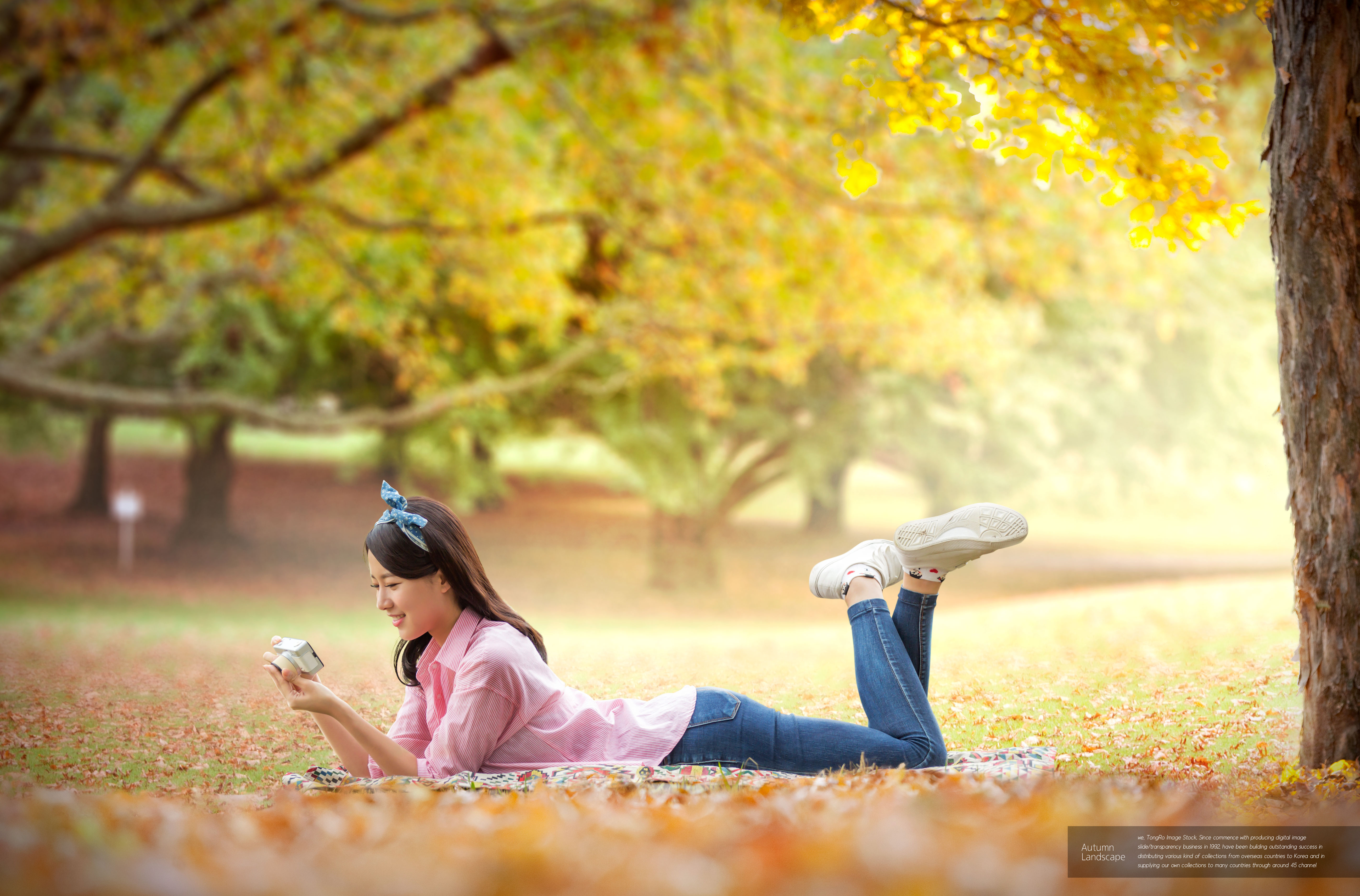 秋季景色旅行主题海报图片素材[PSD]插图(1)