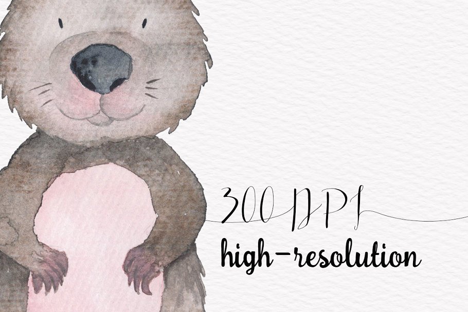 澳大利亚动物水彩剪贴画合集 Australian Watercolor Animals Set插图(1)