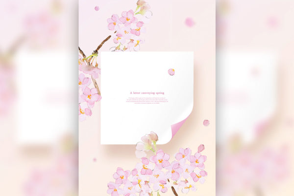 樱花-春天花卉主题海报/贺卡/信纸设计psd素材