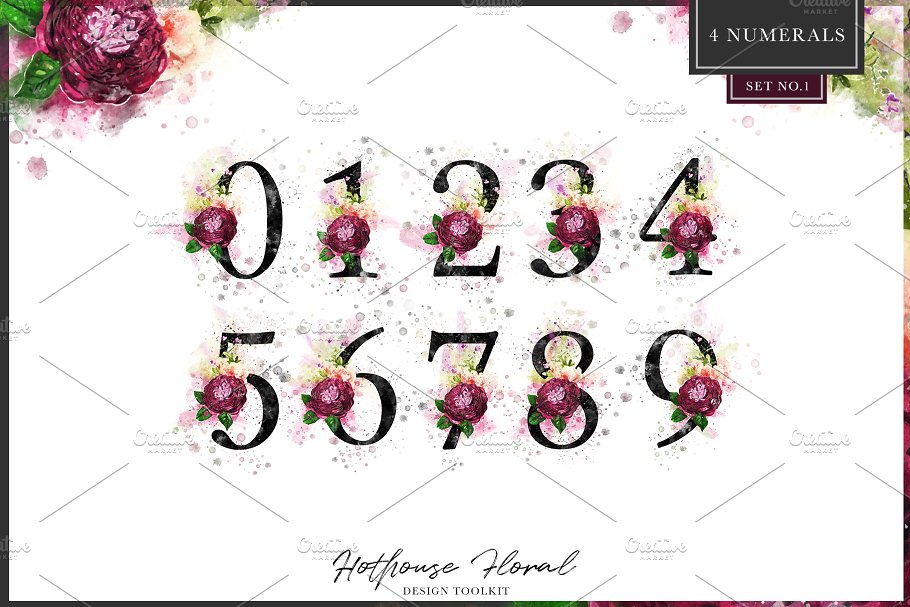数码绘制温室花卉设计素材包(独立花卉元素&花式字母数字) Hothouse Floral Design ToolKit插图(7)