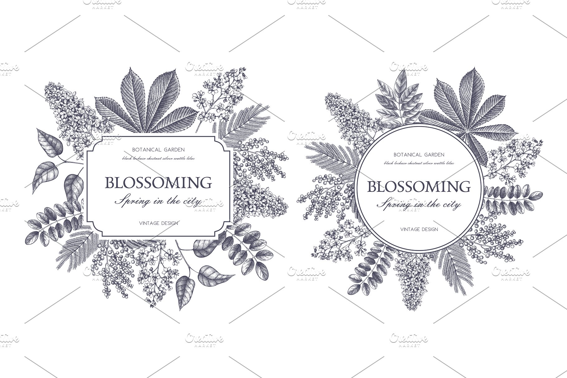 春季树木矢量插画素材 Vector Spring Trees Collection插图(2)