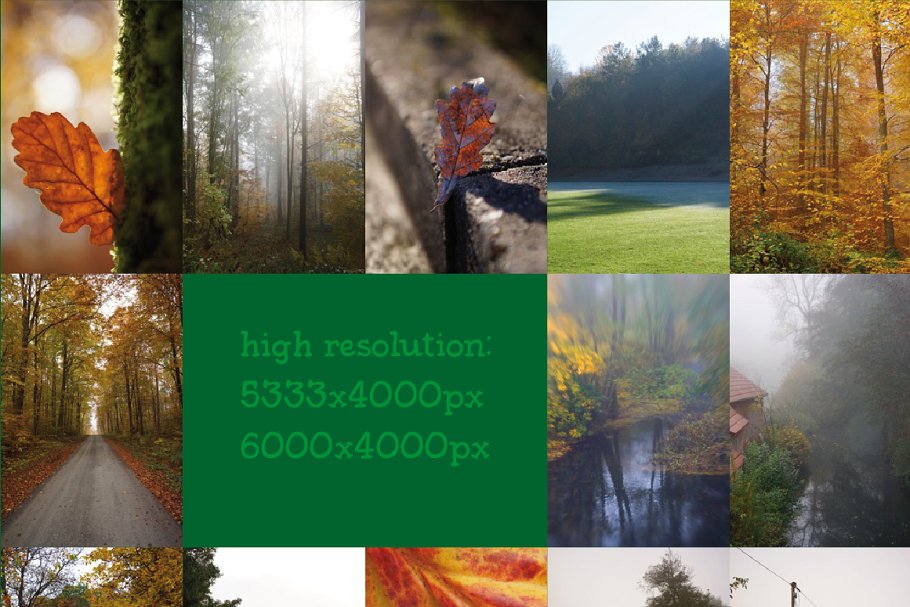 霜降和大雾高清照片合集 Frost&Fog Photo Bundle插图(1)