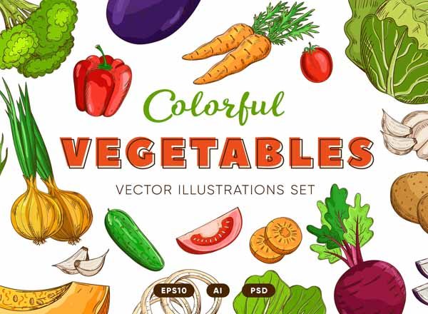 复古风格手绘矢量蔬菜素材打包下载[ai,psd,eps,png,jpg]