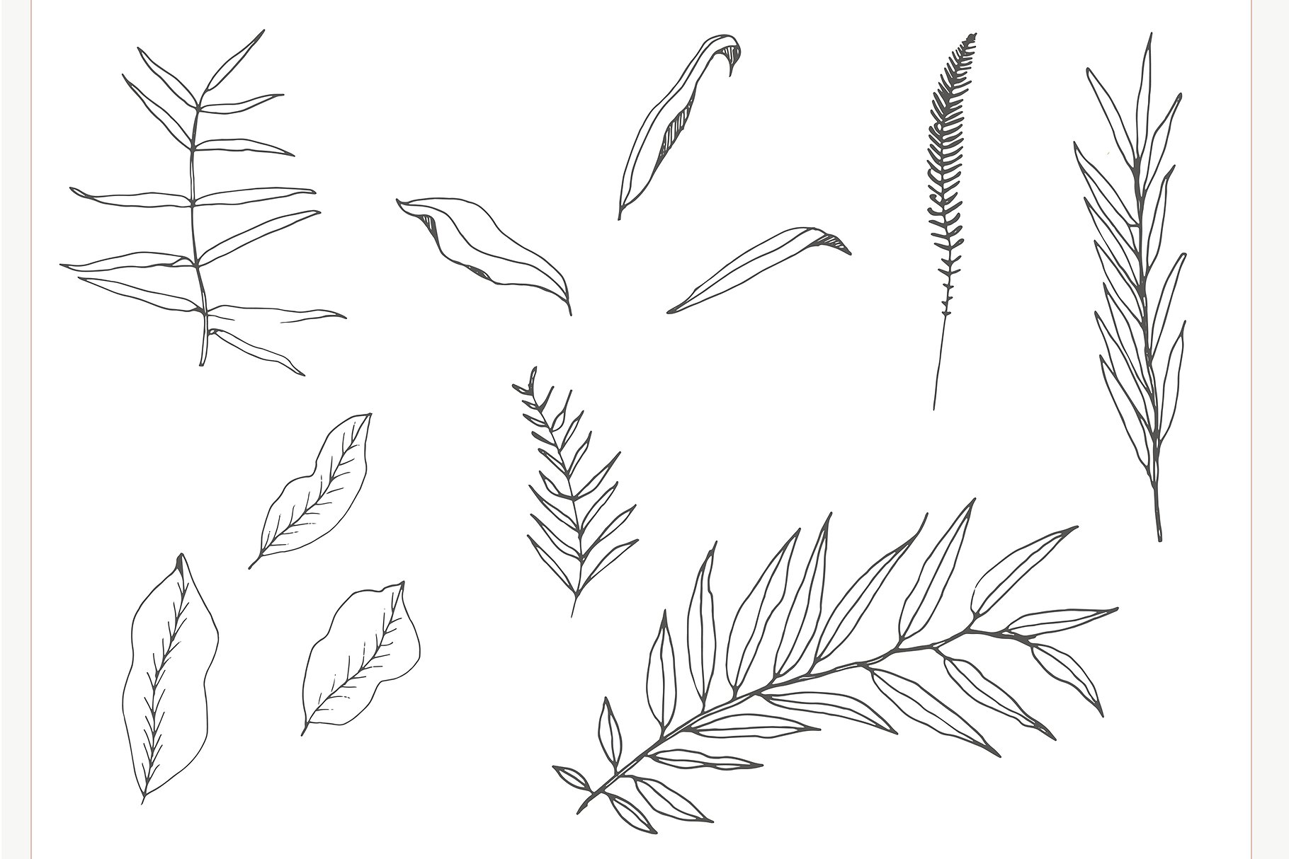 浪漫手绘色彩落叶树枝元素 Hand drawn Leaves Collection插图(7)