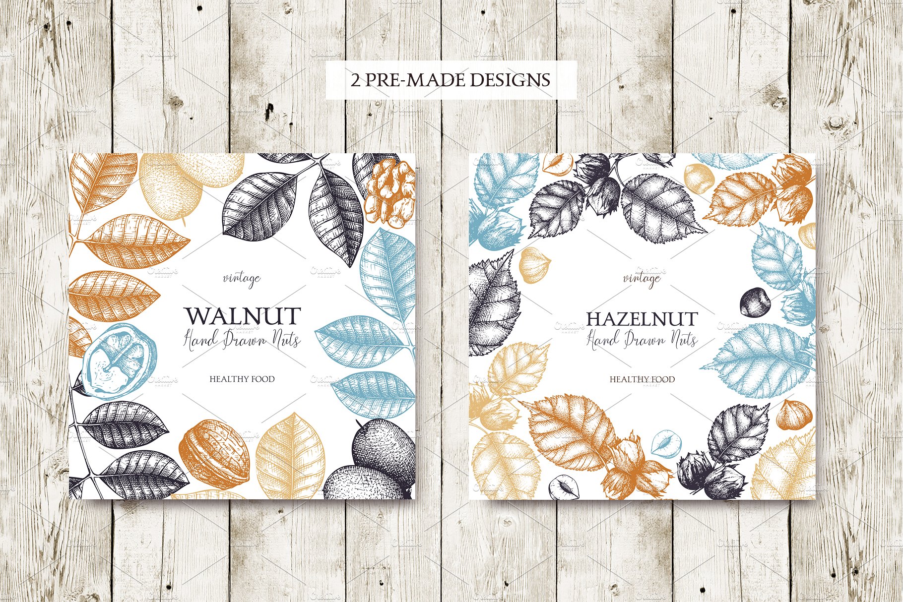 杏仁/榛子/核桃矢量插画套装 Vector Almond, Hazelnut & Walnut Set插图(3)