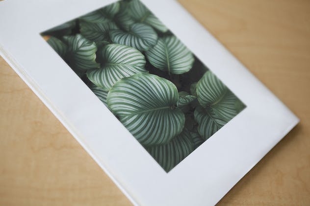 宣传册/小册子/目录设计预览样机素材库精选模板 Brochure / Booklet / Catalog Mock-Up PSD插图(8)