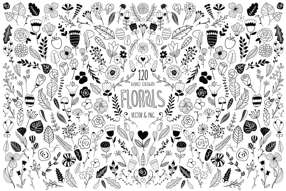 120款美丽的手绘花卉设计元素 120 Hand Drawn Florals Vector & PNG插图